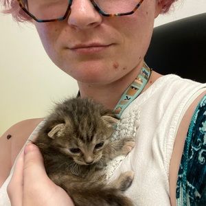 Meet your Posher, Erin